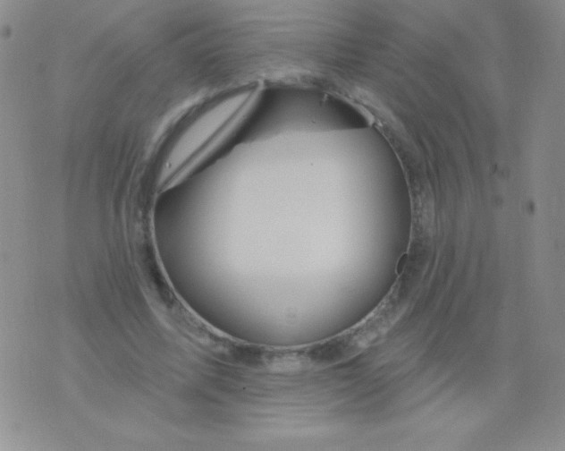 X0000075900587200610062120