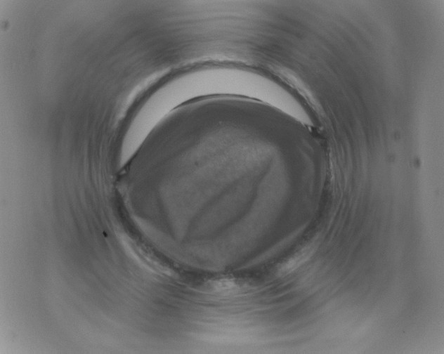 X0000075900588200610062120