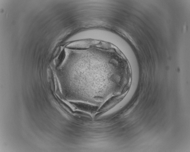 X0000075900589200610062120