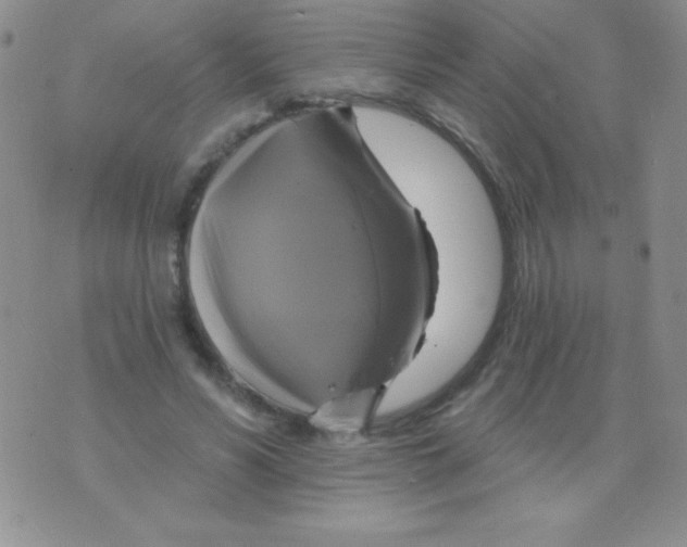 X0000075900590200610062120