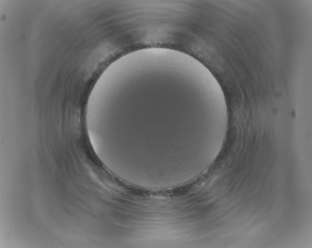 X0000075900592200610062120