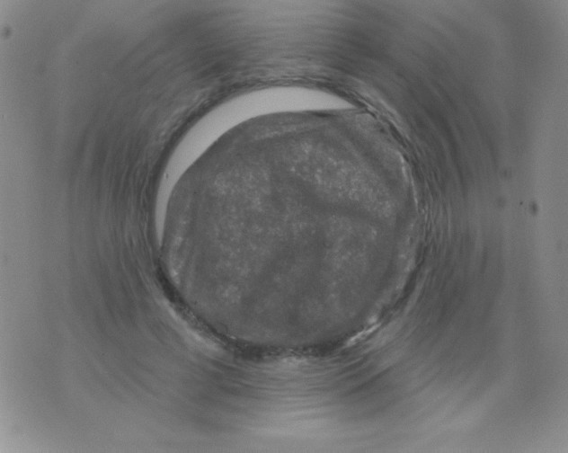 X0000075900593200610062120