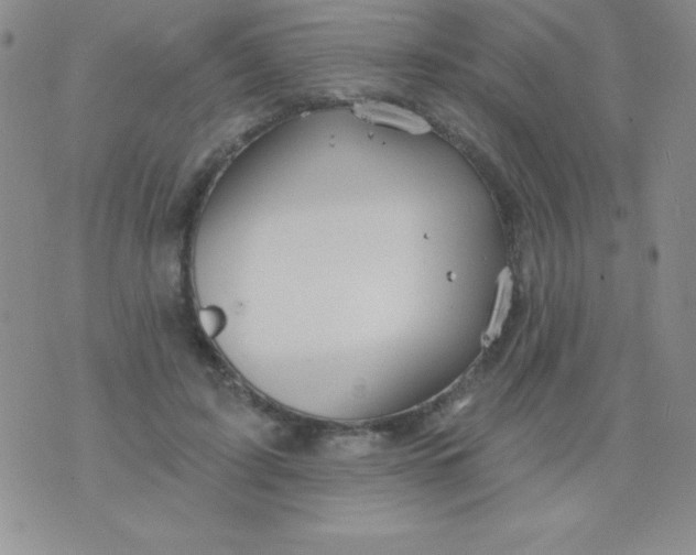 X0000075900595200610062120