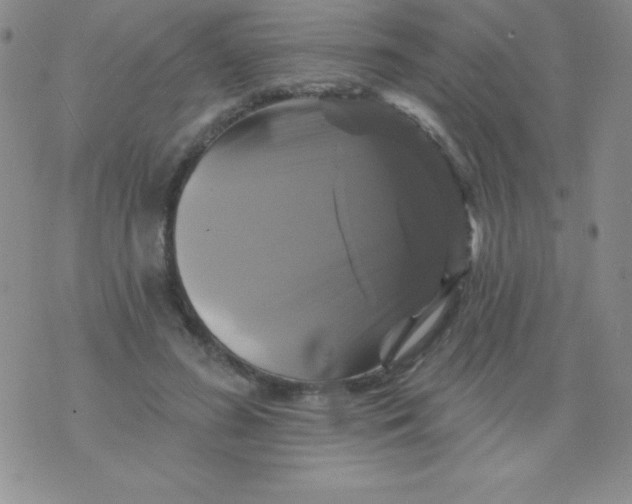 X0000075900596200610062120