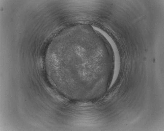 X0000075900597200610062120