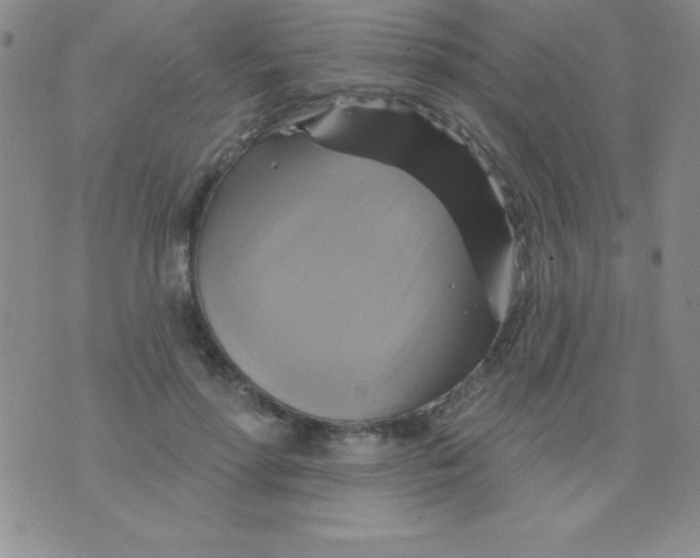 X0000075900598200610062120