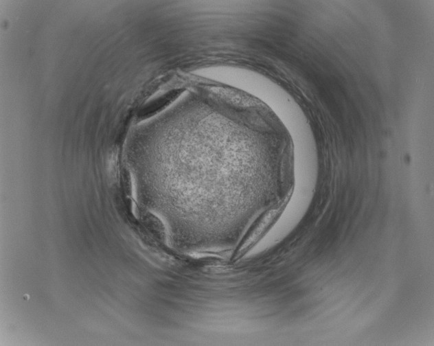 X0000075900601200610062120