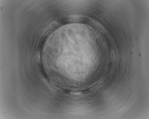 X0000075900602200610062120