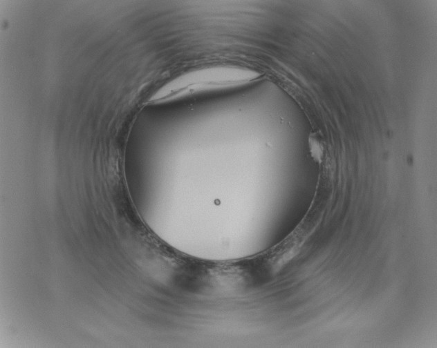 X0000075900603200610062119