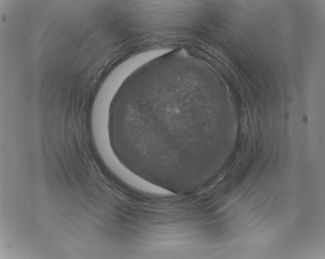 X0000075900604200610062119