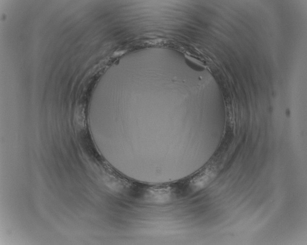 X0000075900606200610062119