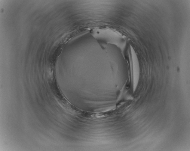 X0000075900607200610062119