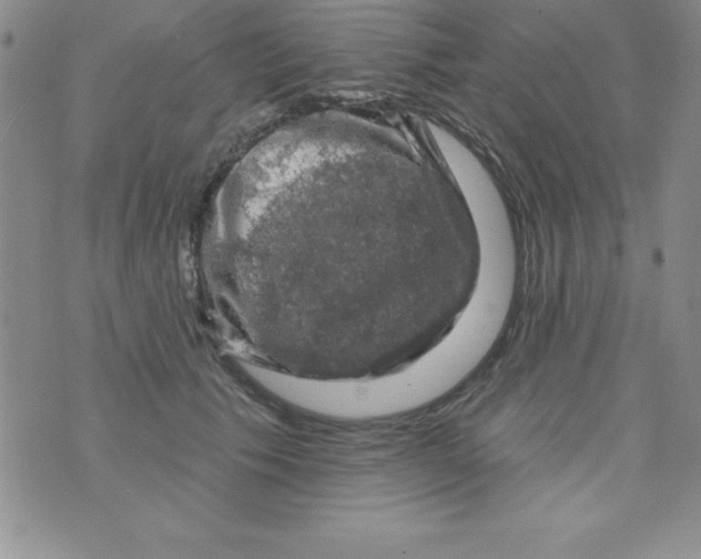 X0000075900609200610062119