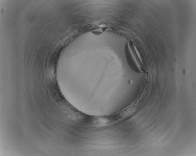 X0000075900610200610062119