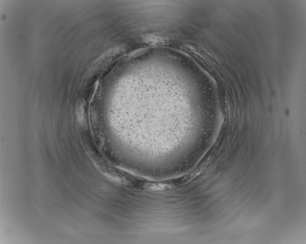 X0000075900611200610062119