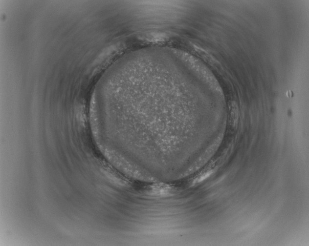 X0000075900612200610062119