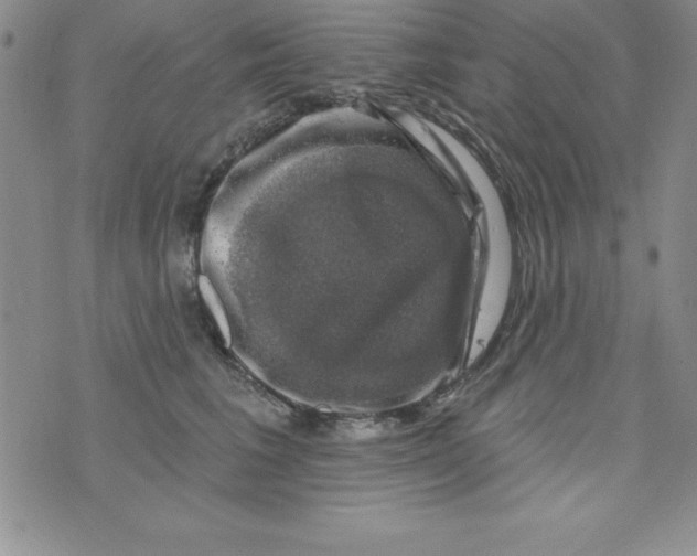 X0000075900613200610062119