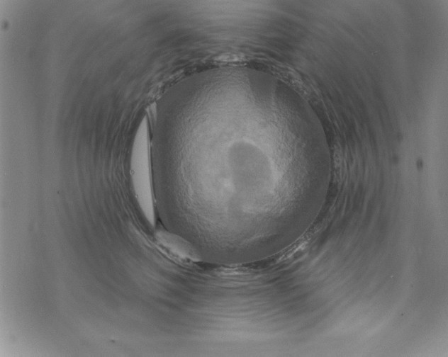 X0000075900614200610062119