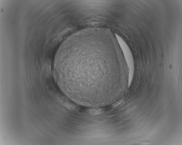 X0000075900615200610062119