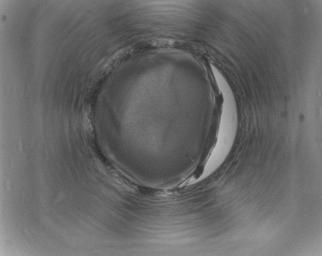 X0000075900616200610062119