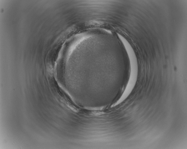 X0000075900617200610062119