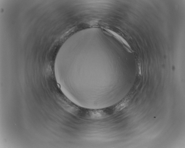 X0000075900618200610062119