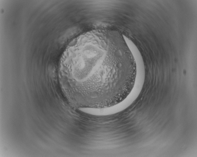 X0000075900619200610062119