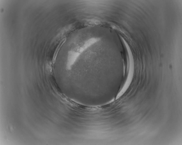 X0000075900621200610062119