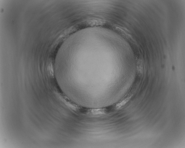 X0000075900622200610062119