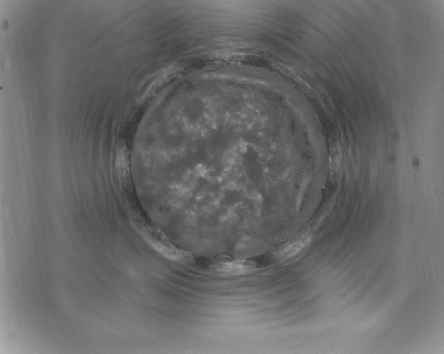 X0000075900623200610062119