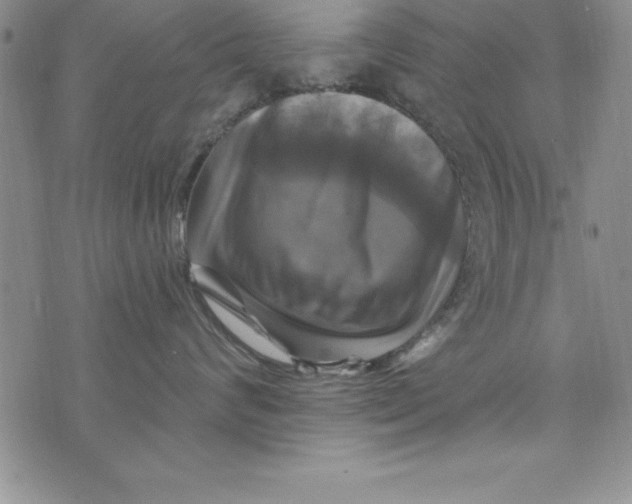 X0000075900624200610062119