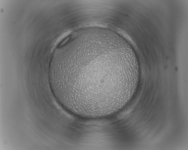 X0000075900625200610062118