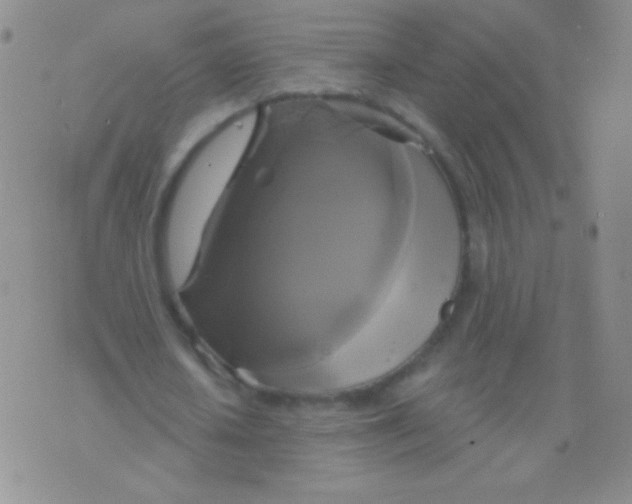 X0000075900626200610062118