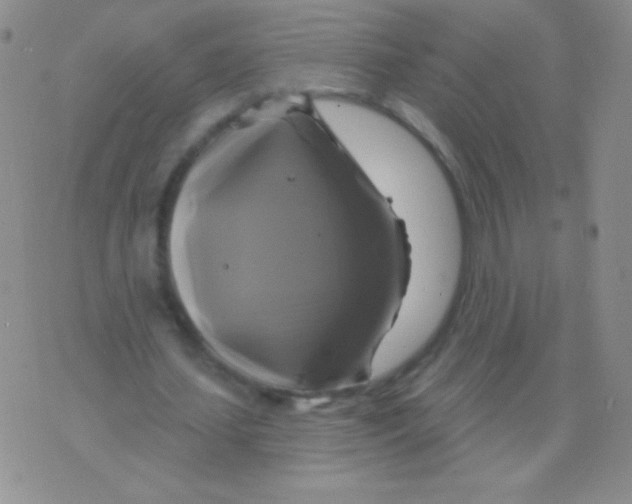 X0000075900627200610062118