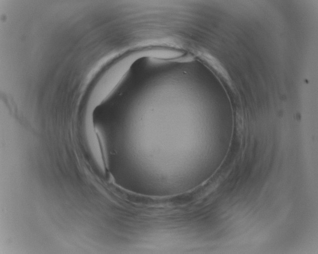 X0000075900628200610062118