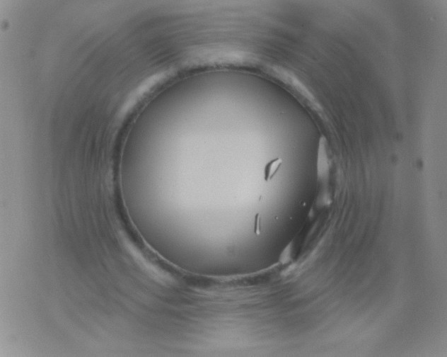 X0000075900629200610062118