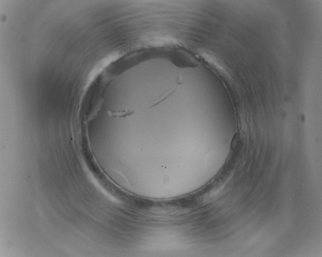 X0000075900630200610062118