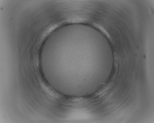 X0000075900631200610062118