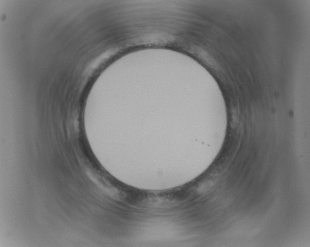 X0000075900632200610062118