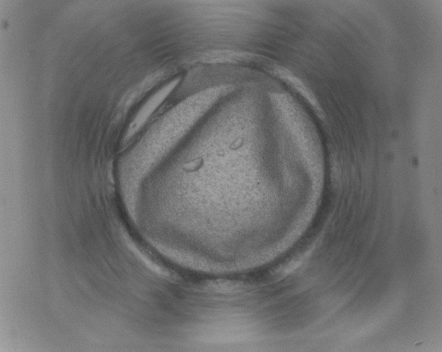 X0000075900633200610062118