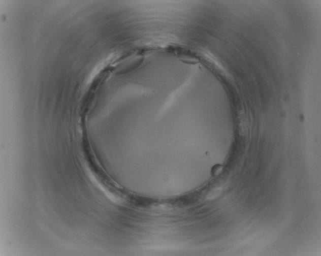 X0000075900634200610062118