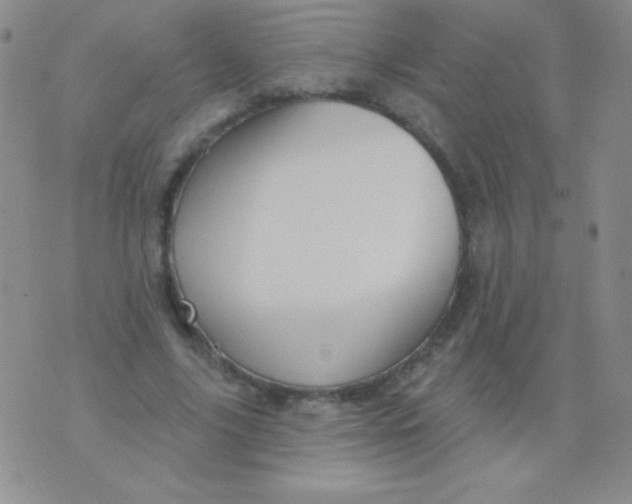 X0000075900635200610062119