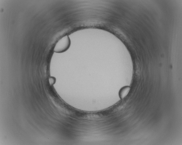 X0000075900636200610062119