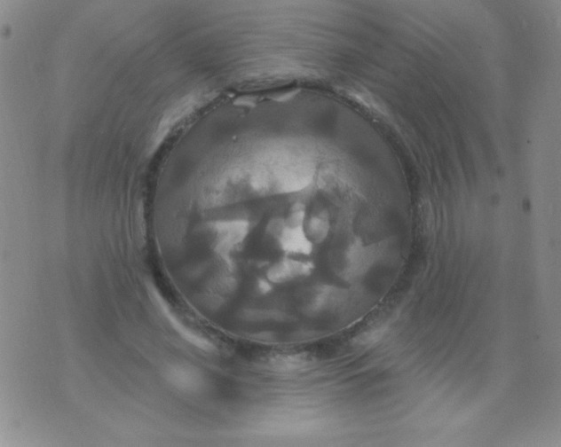 X0000075900638200610062119