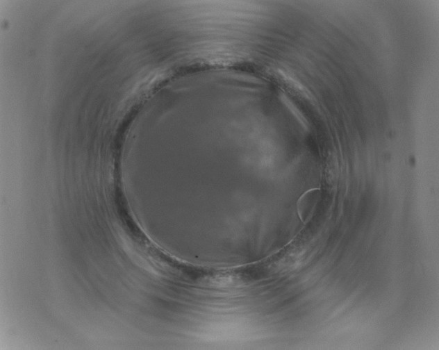 X0000075900639200610062119