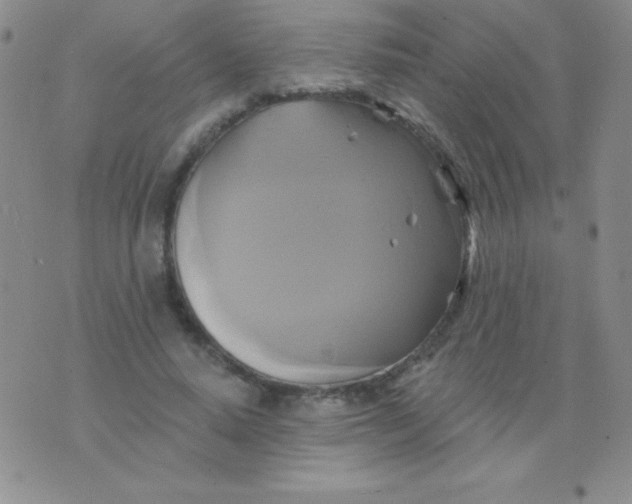 X0000075900640200610062119