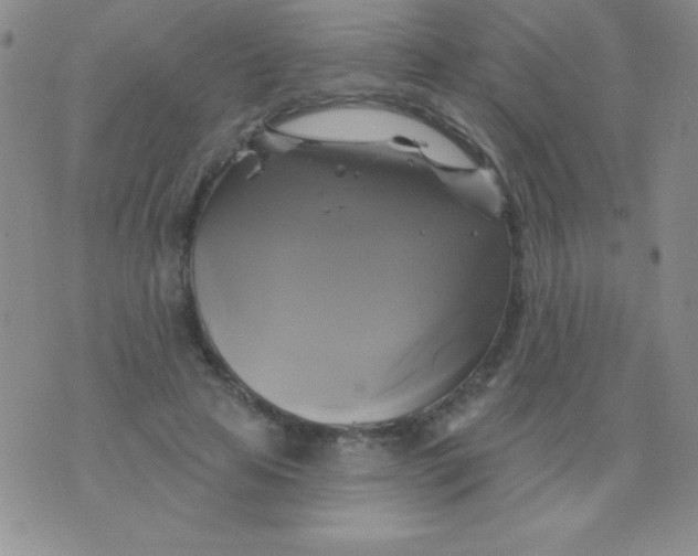 X0000075900641200610062119