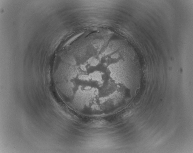 X0000075900642200610062119