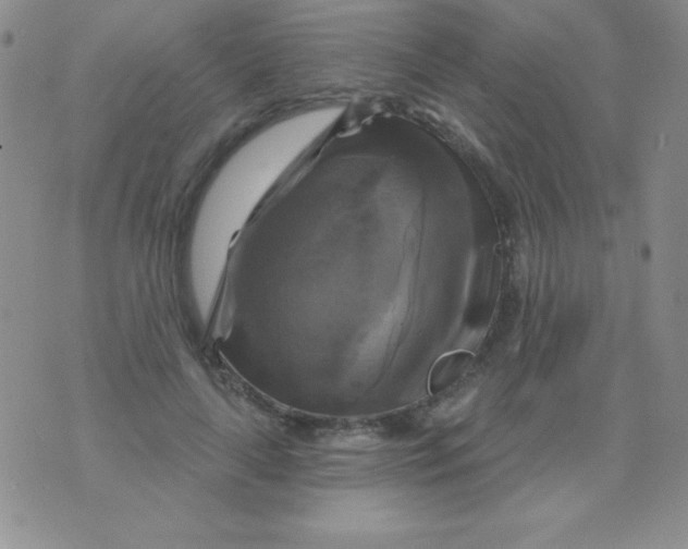 X0000075900643200610062119