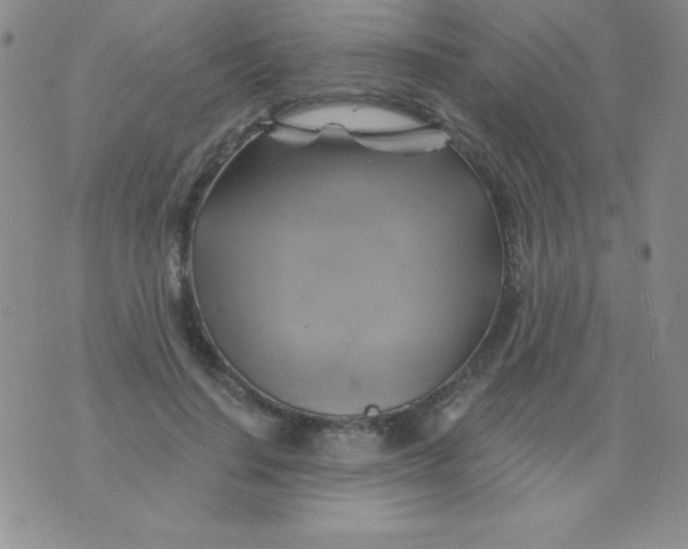 X0000075900644200610062119